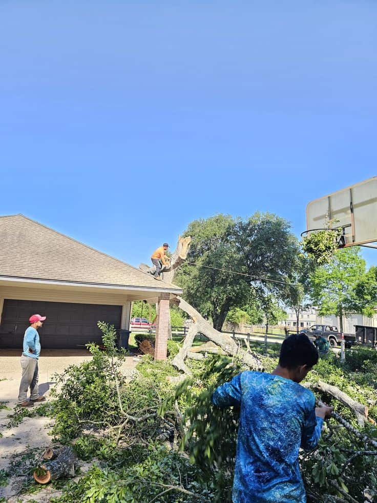 Affordable Carolina Tree Service team